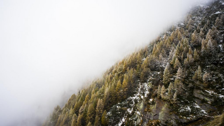 negotiating rather a lot on kitchen tables