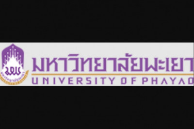 Positive aspects of Studying in Thailand