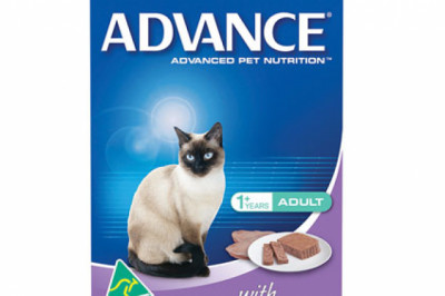 Advance Adult Cat with Succulent Turkey Cans | DiscountPetCare