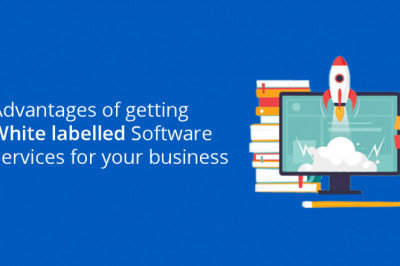 Advantages of getting Whitelabelled Software for Your Business