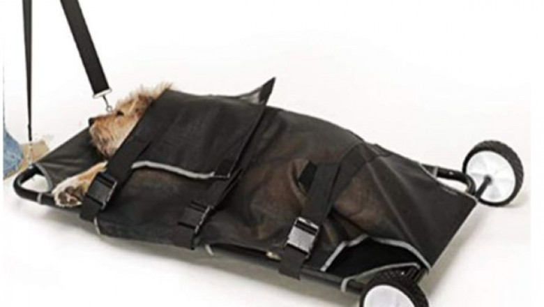 Happybuy Animal Stretcher Black – Get All The Important Supplies Online