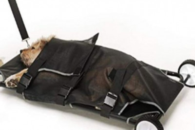 Happybuy Animal Stretcher Black – Get All The Important Supplies Online