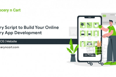 online grocery delivery service