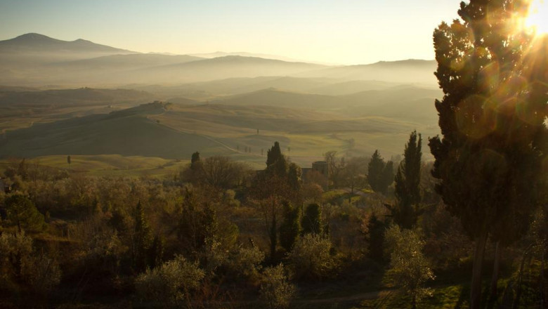 build a barn shed an amount benefit analysis