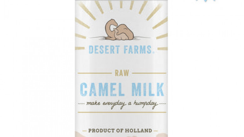 Buy the Best and Fresh Camel Milk in the UK From Desert Farms