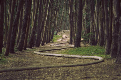 how to clean a septic tank with pictures local water hauling