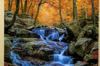 Sun Art Prints For Any Decor Style At Night Light Designs