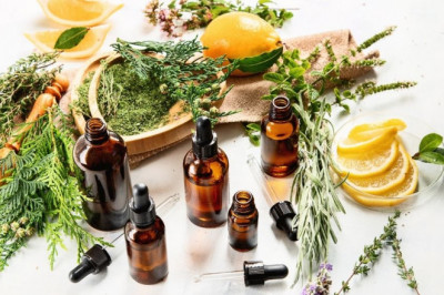 Want To Buy Natural Essential Oils Online In India?