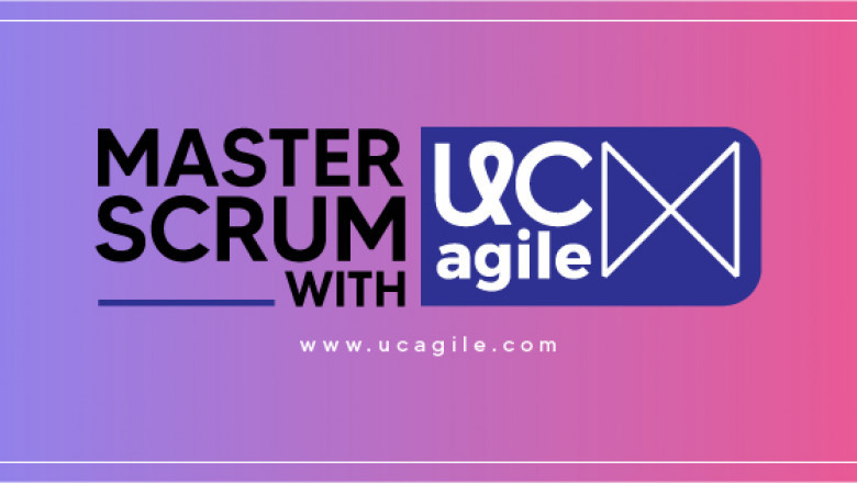 Scrum Course Online