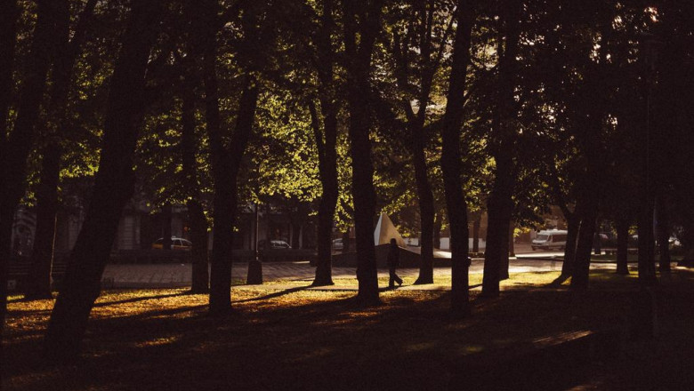 video production business tip methods to promote your video business