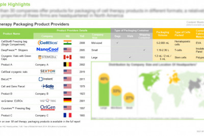 CELL THERAPY PACKAGING SERVICE PROVIDERS MARKET - CURRENT MARKET LANDSCAPE