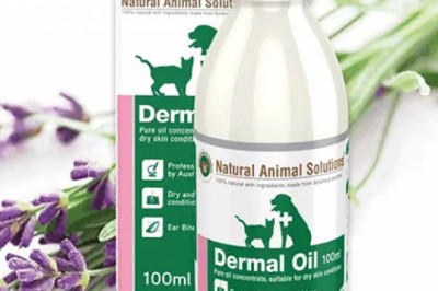 Natural Animal Solution Dermal Oil 100 ML | DiscountPetCare