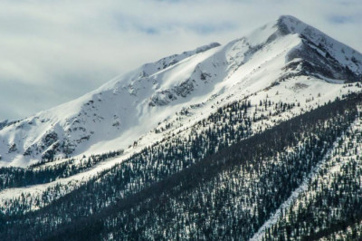 what to know about cbg oils and where to buy them