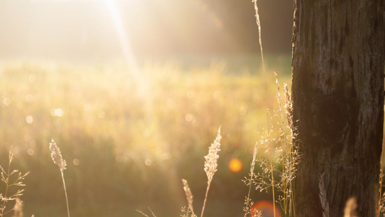 the pros and cons of speculation in commodity futures