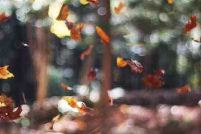 no time no money no problem how you can get toxin in body with a zerodollar budget