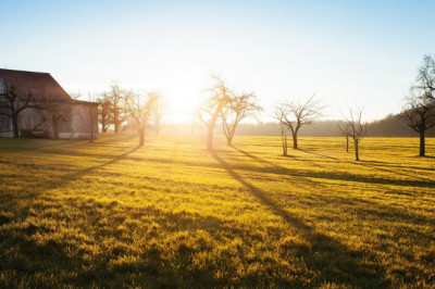 detoxify body at home all the stats facts and data youll ever need to know