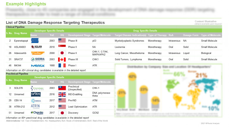 DNA DAMAGE RESPONSE TARGETING THERAPEUTICS (BEYOND PARP INHIBITORS) - CURRENT MARKET LANDSCAPE