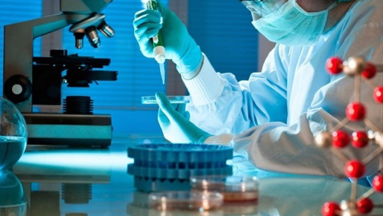 GCC Countries Electroceuticals/Bioelectric Medicine Market Share Leaders, Trajectory, Future Demands And Forecast 2022-2027