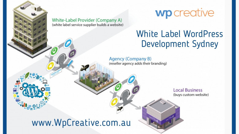 Get Your Website Designed By The Best WordPress Developers
