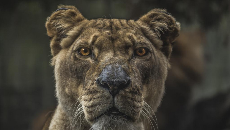 11 ways to completely sabotage your laptop screen repair waterbury