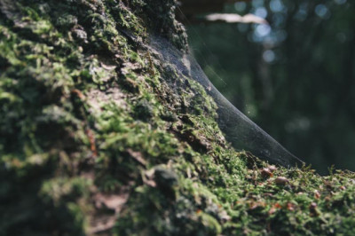 2022 whole house ultimate clean with me cleaning house cleaning services