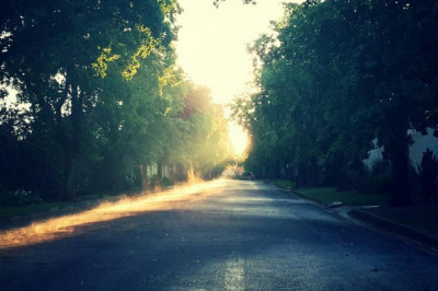 hospital beds sale hire adjustable beds for the hospital beds for sale