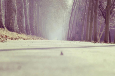 how to explain zhai wu shu huan to your boss