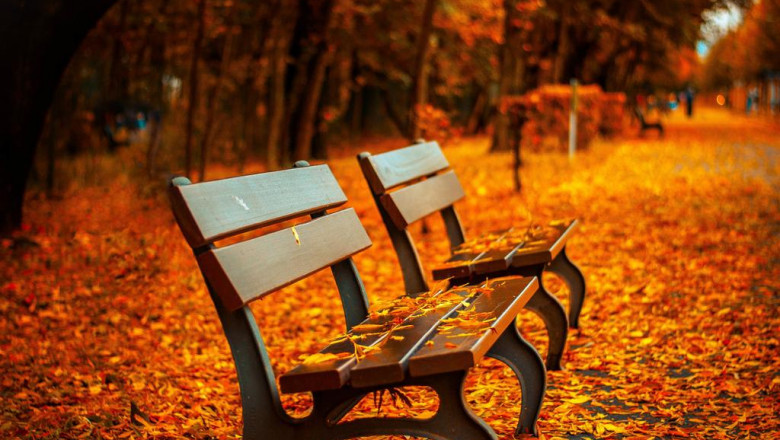 what is a blockchain and how does it work