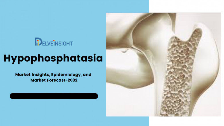 What is the Hypophosphatasia Market Insights?