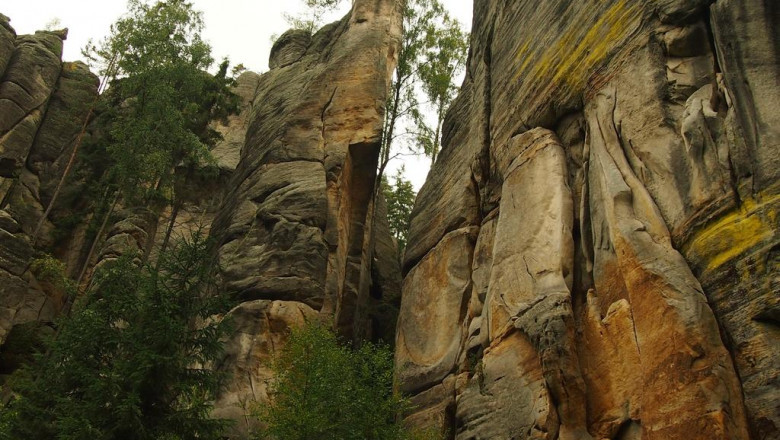 7 attractions after a car accident