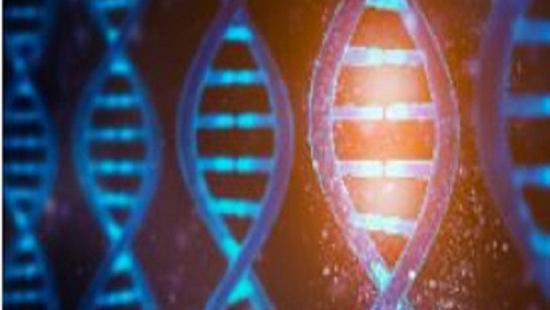 Should I Get genetic testing for Diet