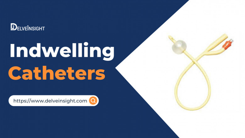 What is the Indwelling Catheters Market Insights?