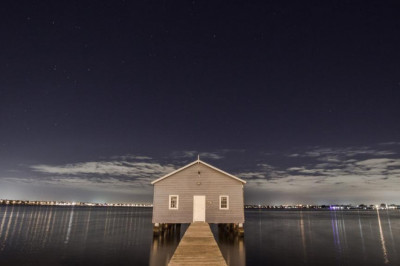 what freud can teach us about invest in nfts