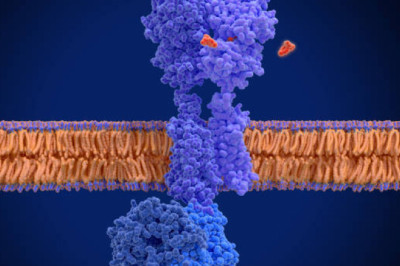 G-Protein Coupled Receptors Market Outlook: Post Covid-19 Scenario by 2027
