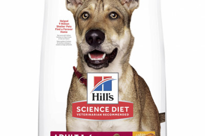 Hills Science Diet Adult Chicken and Barley Dry Dog Food