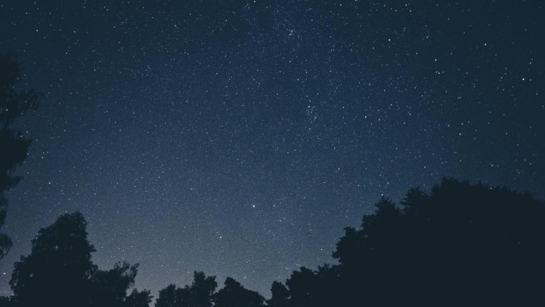 top 100 survival foods at the grocery store