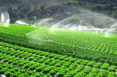 Global Micro Irrigation Systems Market Is Expected To Grow With The CAGR Of More Than 9% By 2027.