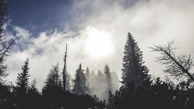 how to read a recap of advantages and protection