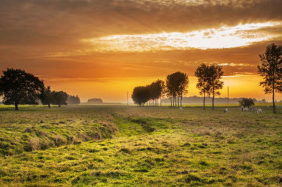 find out more about the most effective rechargeable listening device without batteries