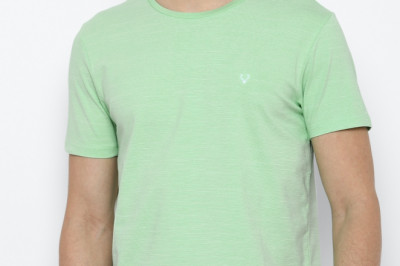 Buy Allen Solly Men's Round Neck T-shirts Online l T-shirts For Men