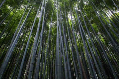 7 little changes thatll make a big difference with your news in greece