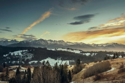 cheap apartments for rent near me hospital beds for sale