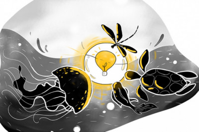 Dojoit Online Whiteboard for Interstellar Visual Collaboration