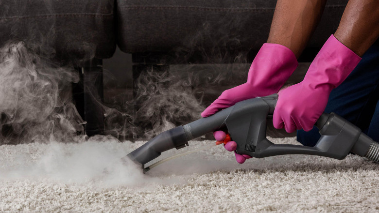 Everything You Need to Know Portable Steam Cleaner for Residential and Commercial