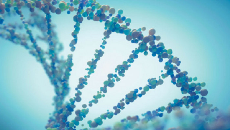 In Situ Hybridization (ISH) Market Competitor 2022, Investments, Value Chain Analysis, CAGR and Forecast 2027