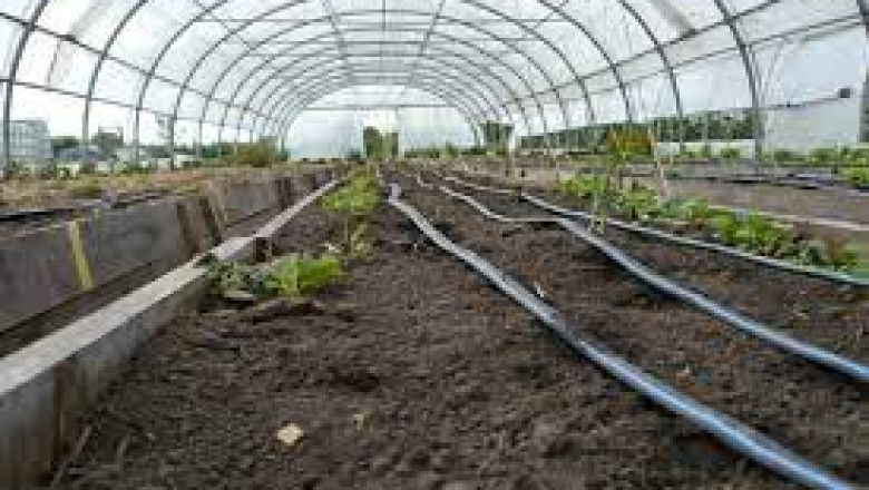 Indoor Farming Technology In-Depth Analysis-Facts-Data-Report Importance | BIS Research