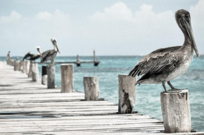 jual keranda jenazah kebumen hub 0812 9869 9940