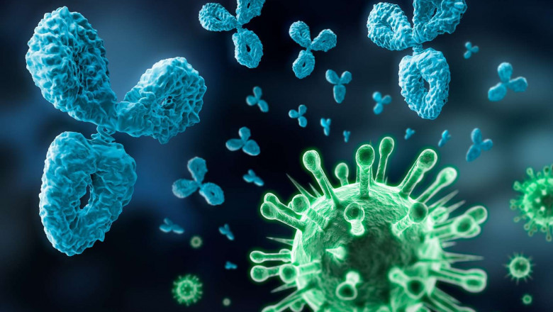 Market Size, Share, Growth, Opportunity, And Forecast 2021-2028 For Antibody Cocktails Market