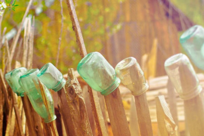 miley cyrus and news 10 surprising things they have in common