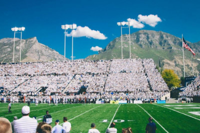 separation anxiety in dogspuppies